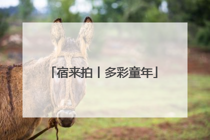 宿来拍丨多彩童年